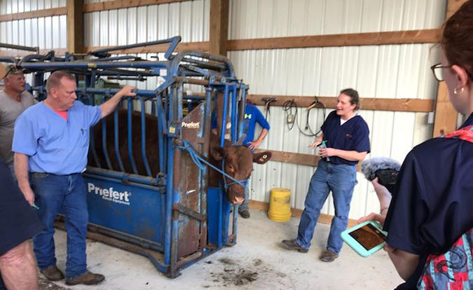 UT Extension Field Day held
